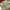 Item(s): UNKNW MILITARY USA CARGO PANTS photo 8