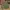 Item(s): L3V1S ARMY CARGO PANTS photo 2