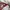Tommy Hilfiger Streetwear Gorpcore Windbreaker Pria multicolor photo 4