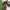 Knitwear rajut tebal warna abu  photo 1