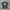 DGK PRAYS TEE SKATEBOARDING