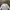 Uniqlo U Pocket White Large