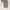 Armani	 Luxury Formal Pants Pria Tan