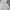HOODIE ZIPER BASIC POLO RALPH LAUREN  photo 4
