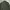 Muji Streetwear Casual Formal shirt Pria green photo 6