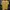 Ocean Pacific Vintage Y2K T-shirt Pria yellow photo 1