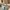Shoulder Bags Donkie Baby Blue