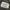 SLY Military Reissue N3B FurJacket photo 4