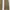 Semanticdesign Cargo Pants photo 8