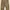 Semanticdesign Cargo Pants photo 5