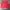 Coach Casual Sweater Pria red photo 1