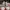 Converse Chuck Taylor All-Star 70 Ox Mason Grey photo 4