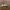 Vans Authentic Salt Wash VR3 "Loden Frost" photo 1