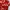 Half Open Collar Hawaii Shirt Pattern Leaf Short Sleeve Red 