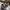 Converse CONS AS-1 Pro Skate photo 2