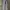 Diesel Vintage Streetwear Jeans Pria white blue photo 4