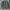 Vintage Peacocks Dark Academia Military Field Coat photo 2