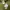 Nike Streetwear Sportswear Sweater Pria green photo 2