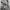 Baggy shirt - people faces photo 3
