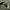 Mizuno military army photo 3
