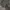Style parka army photo 1