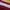 Crewneck Rugby Gryffindor Harry Pottter Graphic tee photo 6