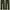  WORKWEAR CARPENTER PANTS – Army Green / Olive (Size 32 ) photo 1