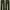  WORKWEAR CARPENTER PANTS – Army Green / Olive (Size 32 )
