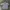 Batsu Studio Vintage Streetwear Trench coat Pria white black photo 1