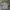 Batsu Studio Vintage Streetwear Trench coat Pria white black photo 4