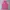 Yonex Y2K Sportswear T-shirt Wanita pink photo 1