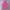Yonex Y2K Sportswear T-shirt Wanita pink photo 2
