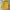 The North Face Y2K Sportswear Track jacket Kids yellow photo 3