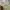 The North Face Gorpcore Sportswear Track jacket Kids cream photo 6