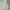 The North Face Gorpcore Sportswear Track jacket Kids cream photo 2