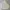 The North Face Gorpcore Sportswear Track jacket Kids cream photo 1