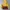 The North Face Y2K Sportswear Track jacket Kids brown yellow photo 2