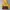 The North Face Y2K Sportswear Track jacket Kids brown yellow photo 1