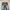 Unknown Distressed Denim Y2k Vkei Japanese style  photo 4