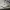 Converse Jack Purcell LP "creamwhite red' /43 photo 1