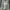 GAP Sportswear Fleece Pria green photo 1