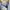Ez by Ermenegildo Zegna Stripe Shirt Regular Fit photo 7