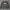 Stussy X Champion Logo Bordir Crewneck