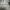 Original Massimo Dutti Polo Shirt photo 10