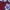 Top pita maroon photo 2