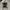 Polo Ralph Lauren Casual Polo shirt Pria brown photo 1
