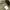 Kai-aakmann loose tapered fatigue balloon pants photo 7