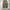Kai-aakmann Loose Tapered Fatigue Balloon Pants