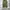 Kai-aakmann loose tapered fatigue balloon pants photo 3