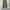 Coen japan wide chino pants photo 1